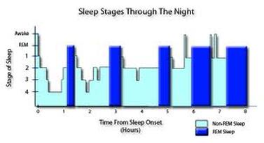 REM-Sleep Across Night